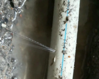 黄陵卫生间测漏水多少钱